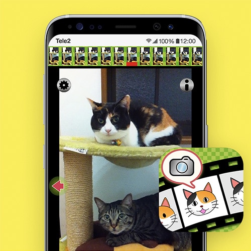 Kittycam-apps-voor-katten-Odido