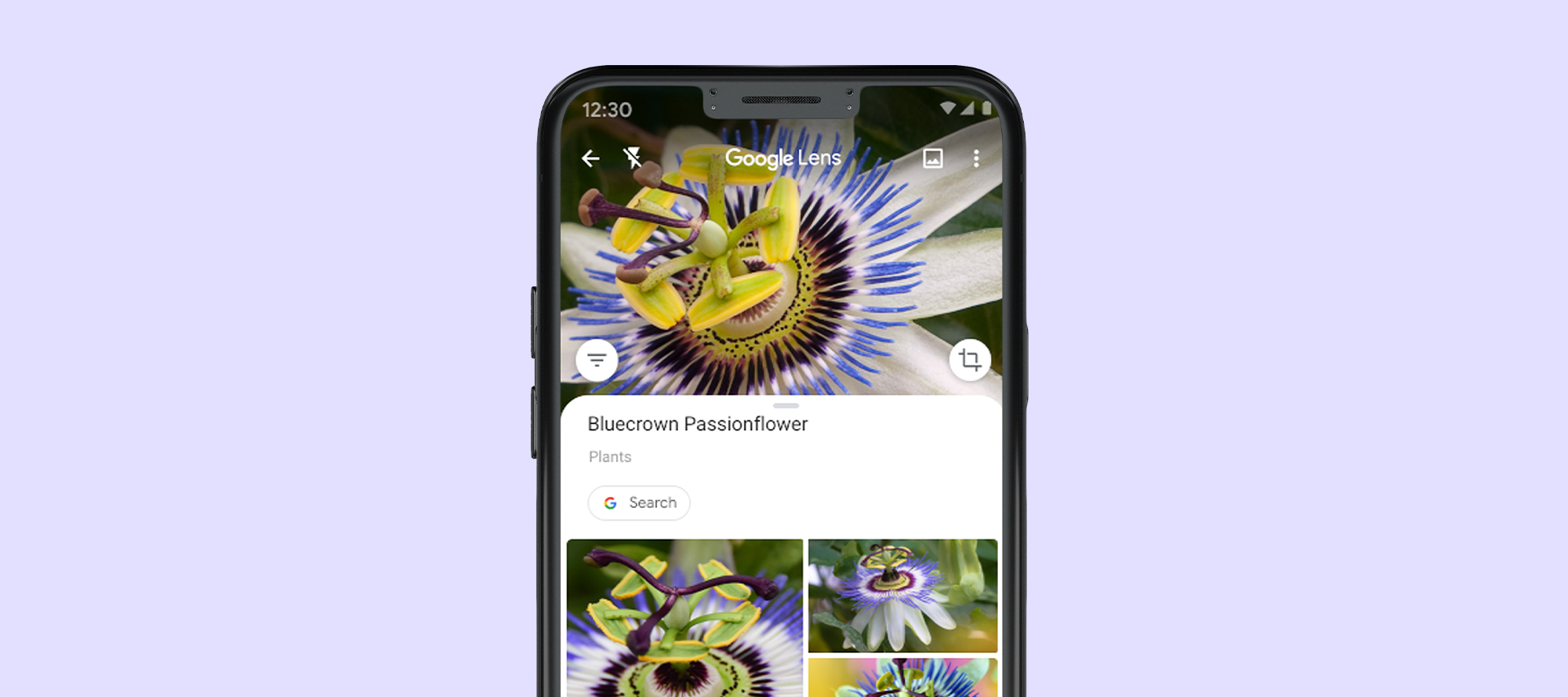De Google Lens app ontdekken? Start hier. | Odido Blog