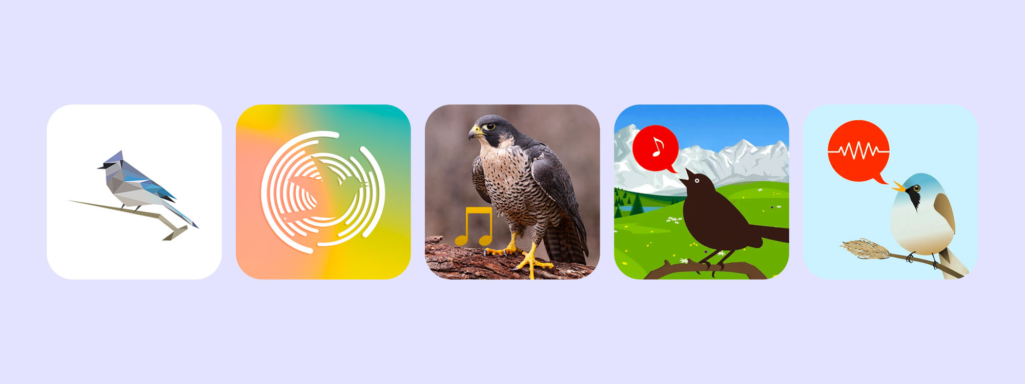 beste vogelgeluiden apps 2023